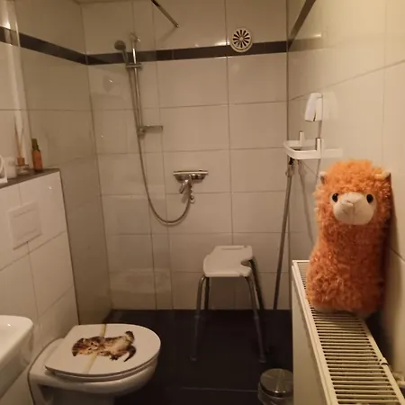Sonnenscheinhof Alpakas, Apartament *