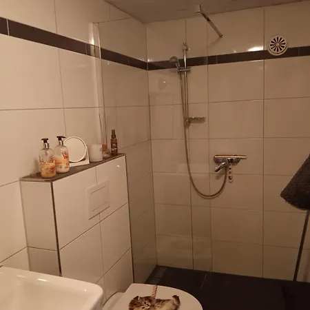 Sonnenscheinhof Alpakas, Apartament Lasbek