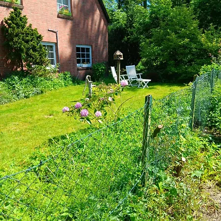 Lejlighed Sonnenscheinhof Alpakas, Lasbek