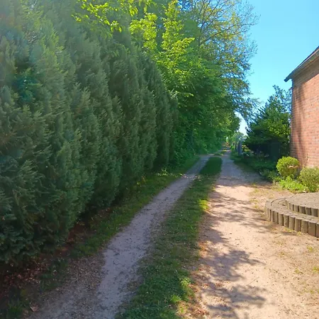 Sonnenscheinhof Alpakas, * Lasbek