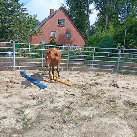 Apartmán Sonnenscheinhof Alpakas,