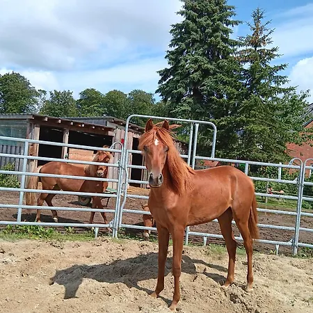 Lejlighed Sonnenscheinhof Alpakas, *