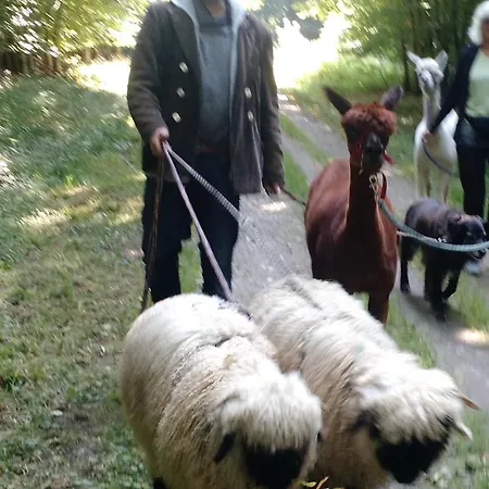 Sonnenscheinhof Alpakas, Lejlighed Lasbek